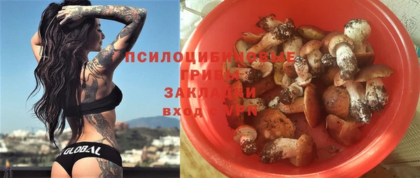 Альфа ПВП Арсеньев